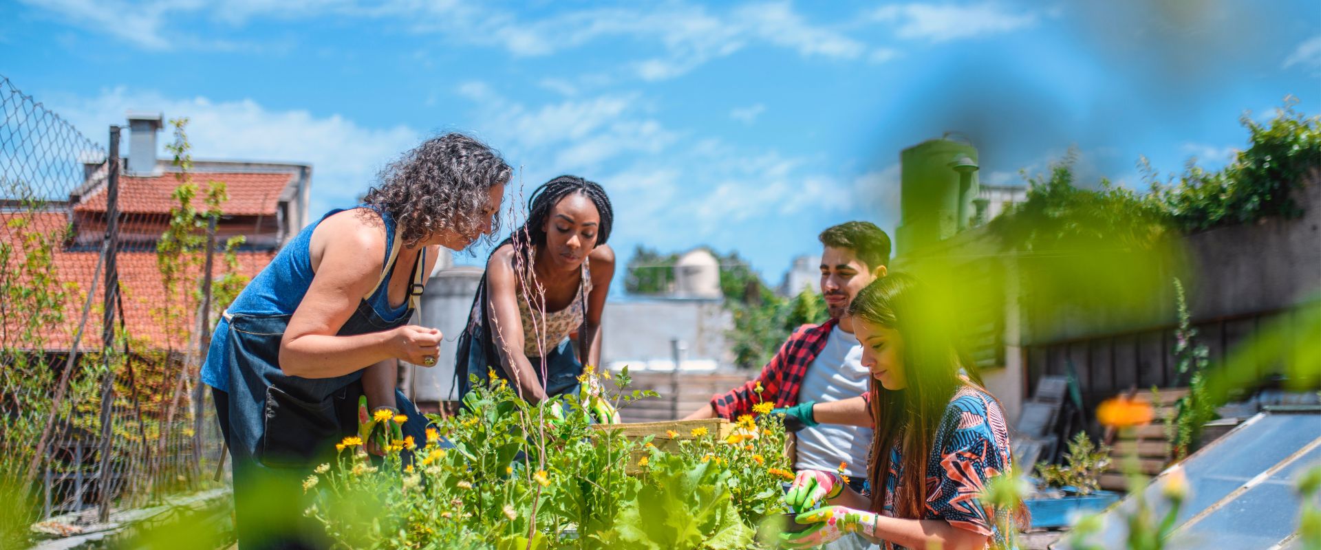 CSR Community Garden